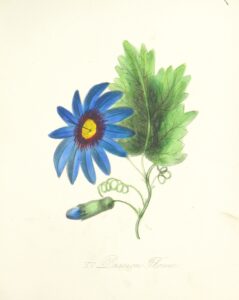 11070443283_8095c71869_o