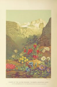 11220265825_75c54dee0d_o