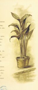 11224626853_b031995dfe_o