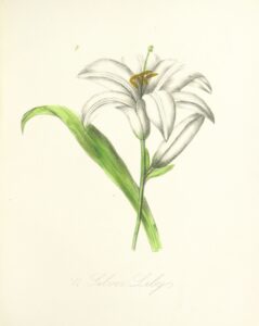 11070094723_8e08428652_o