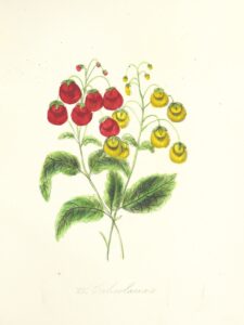 11070441474_52201ee4cb_o